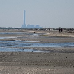 Po di Maistra, Porto Tolle, RO (29)